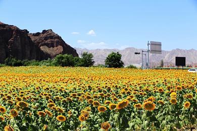 《光环：无限》最新限时活动“崇高目标”现已上线